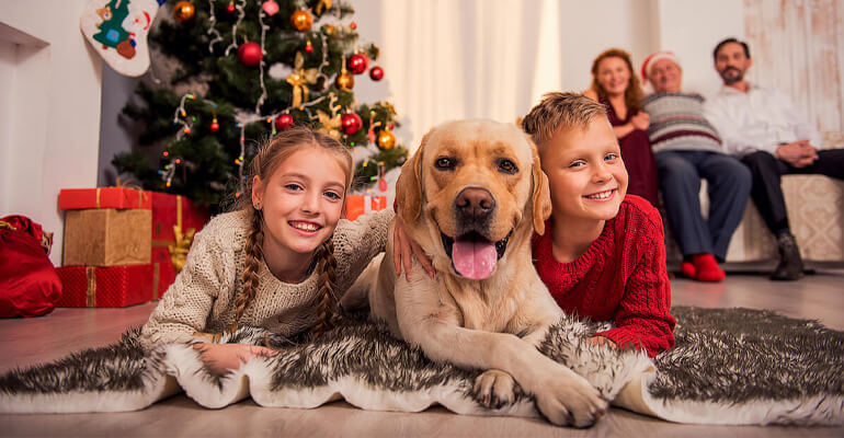 Weihnachten &  Hund und Familie
