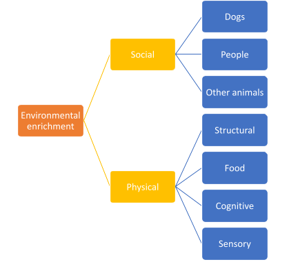 Diagram demonstrating different types of environmental enrichment for dog wellbeing.