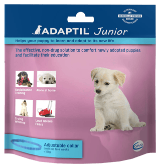 Adaptil-junior-collar-face-UK