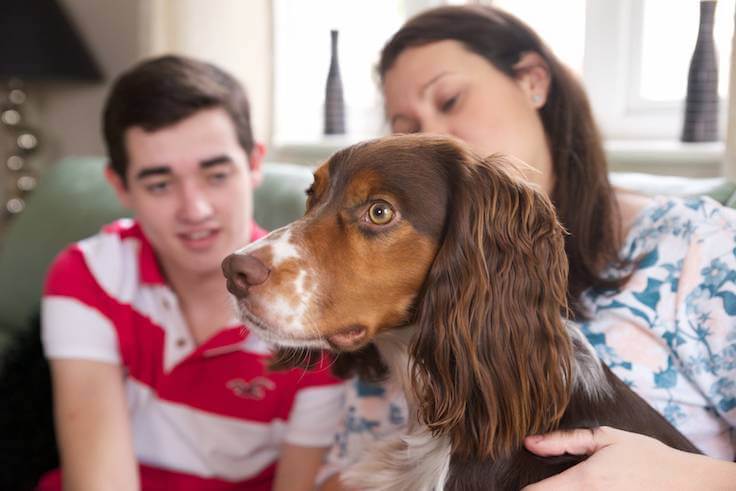 all household can be friends with the dog