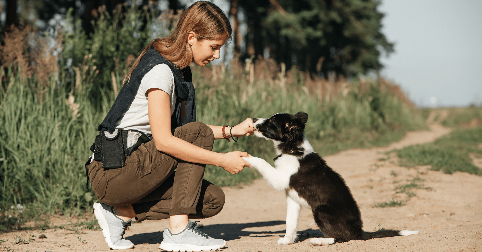 Vuoi sapere come usare ADAPTIL Collare Junior? Ecco a te un