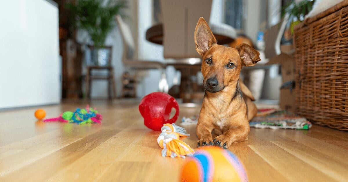 Blog_Article_Image-shutterstock_1256513359 cropped-min