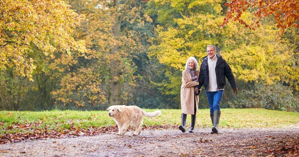 Kutya sétál a gazdijaival a parkban ősszel  