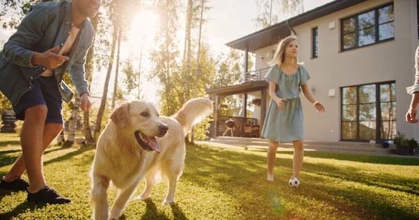 Dog playing games with family outside in their garden.