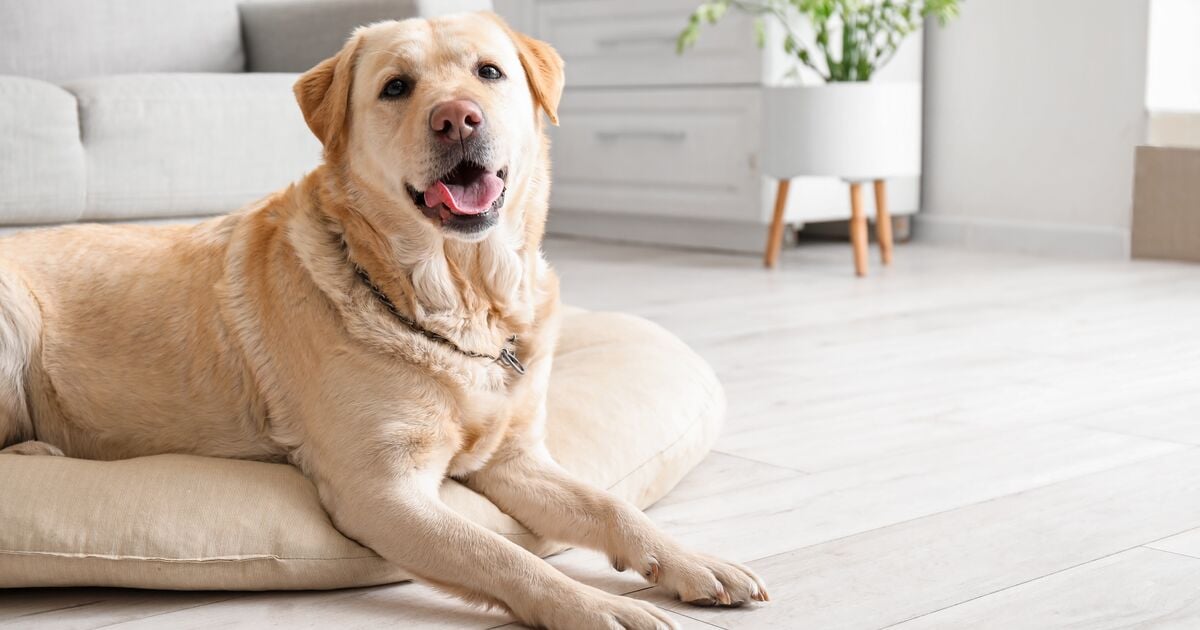 Blog_Article_Image-shutterstock_2265023209