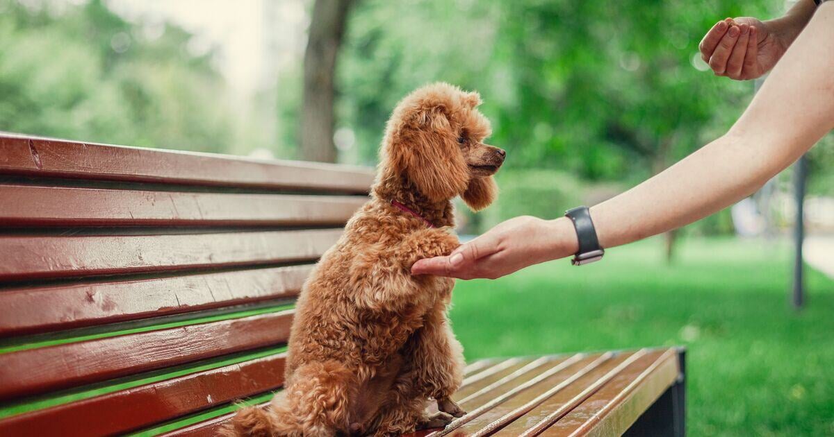 Blog_Article_Image-shutterstock_2396991737-1