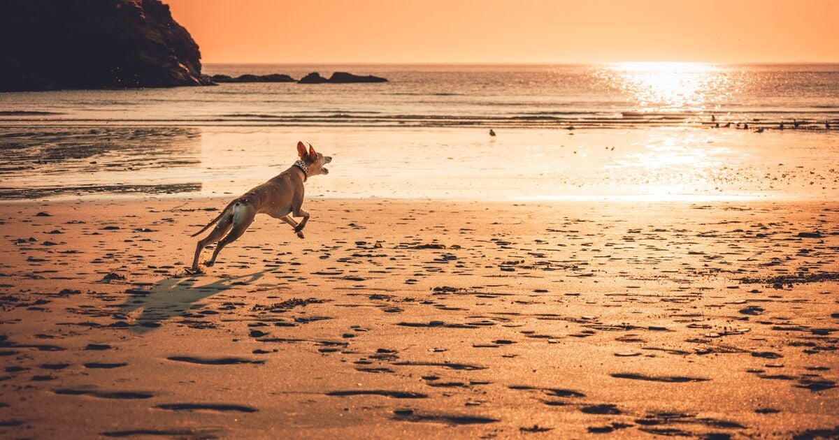 Blog_Article_Image-shutterstock_2468378399