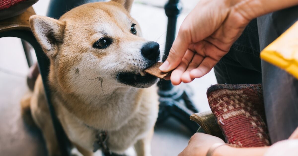 Blog_Article_Image-shutterstock_2559273303