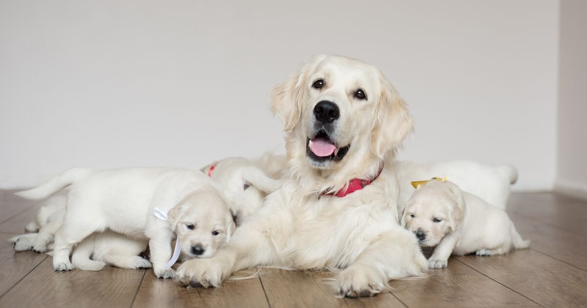 Blog_Article_Image-shutterstock_388570945