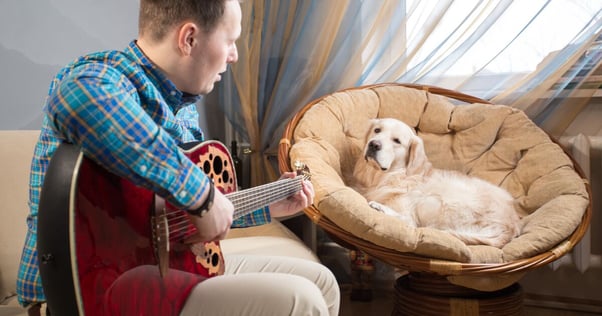 Man playing guitar for a relaxed dog.