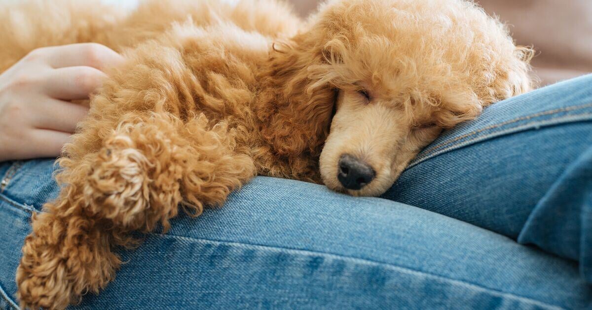 Blog_Article_Image-shutterstock_633355337