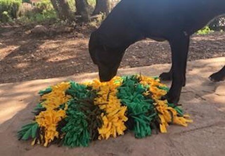 Cão usando um tapete interativo