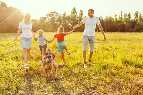 A family holding hands running behind their dog in a sunny field.
