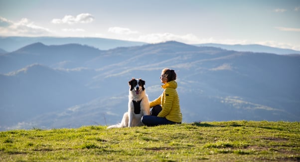 A human and a dog sitting next to each other at the top of a hill with a peaceful mountain background.