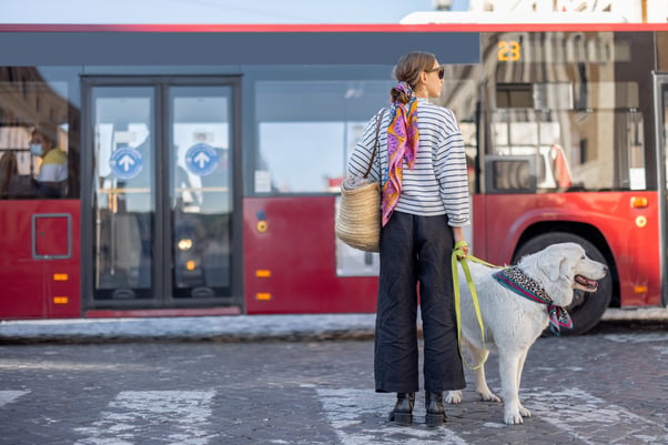 Woman and her dog waiting to catch the bus. The dog is on a yellow lead and is wearing a printed bandana around their neck.