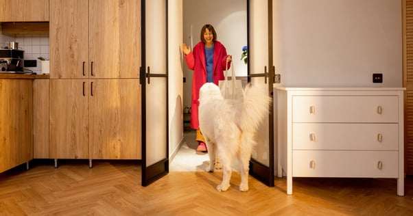 shutterstock_2310850383r