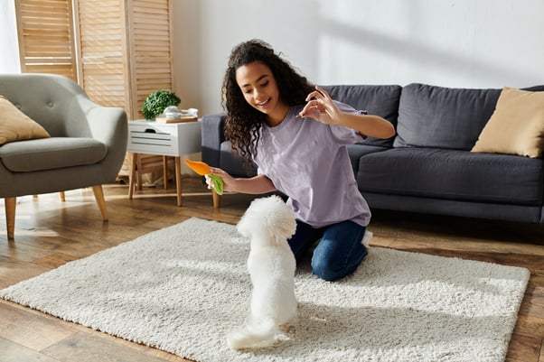 Woman kneeling on a living room rug, holding a carrot-shaped toy while training a small white fluffy dog.
