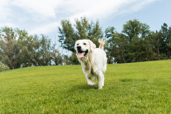 shutterstock_2509325029