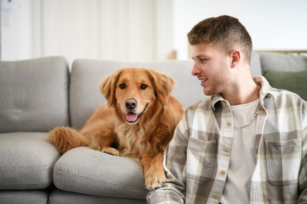 A young man in the living room next to a golden retriever on the sofa. 