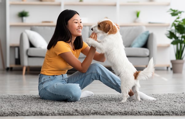 Woman training her small white and brown dog using a treat.