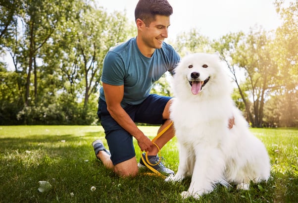 A man kneeling on the grass petting the back of a white long haired dog.