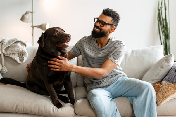 Man petting a brown dog while sitting next to each other on a sofa. 