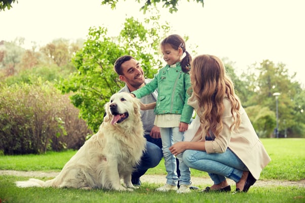 Parents crouching down next to their dog while a little girl stands gently pets its head.