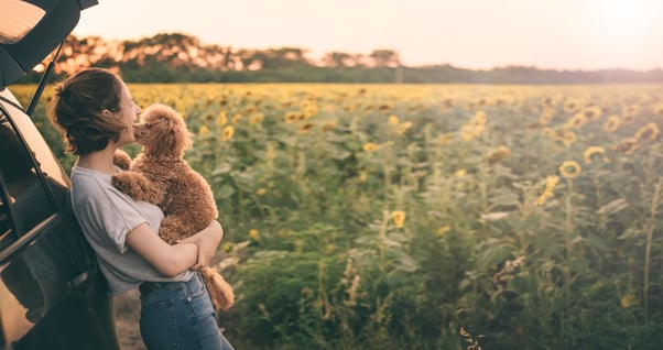 Woman holding a dog beside a car, overlooking a sunflower field at sunset.