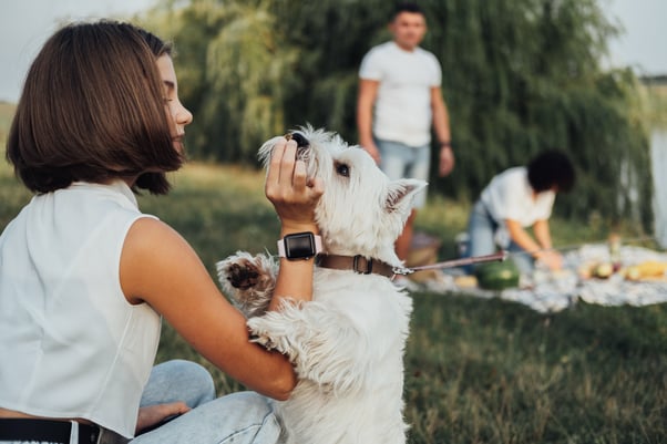 Girl feeding treats to dog at outdoor picnic.