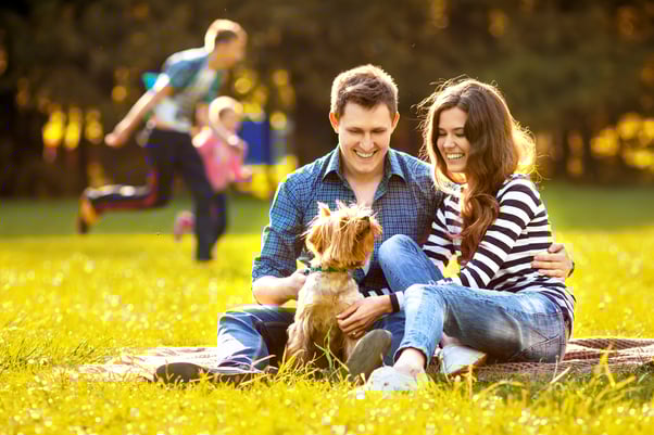 Smiling couple petting their dog at a picnic.