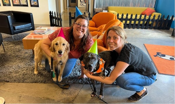 Two happy dogs and their humans smiling together at ADAPTIL US HQ