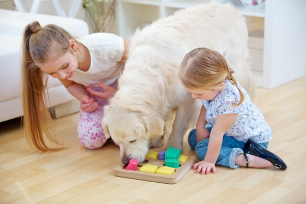 Children helping dog with a dog enrichment activity.