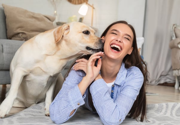 A white Labrador dog sniffing their human’s face while she laughs.