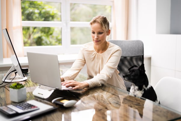 Woman working at office desk with dog.