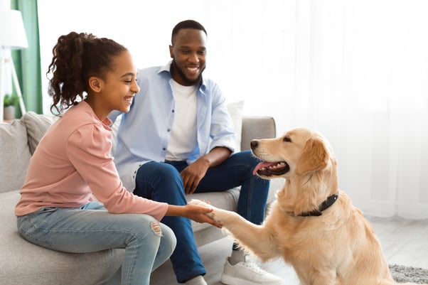 Dog giving its paw to a girl sitting on a sofa with a man next to her.