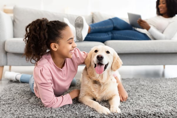 Labrador sitting on carpet with a young girl.