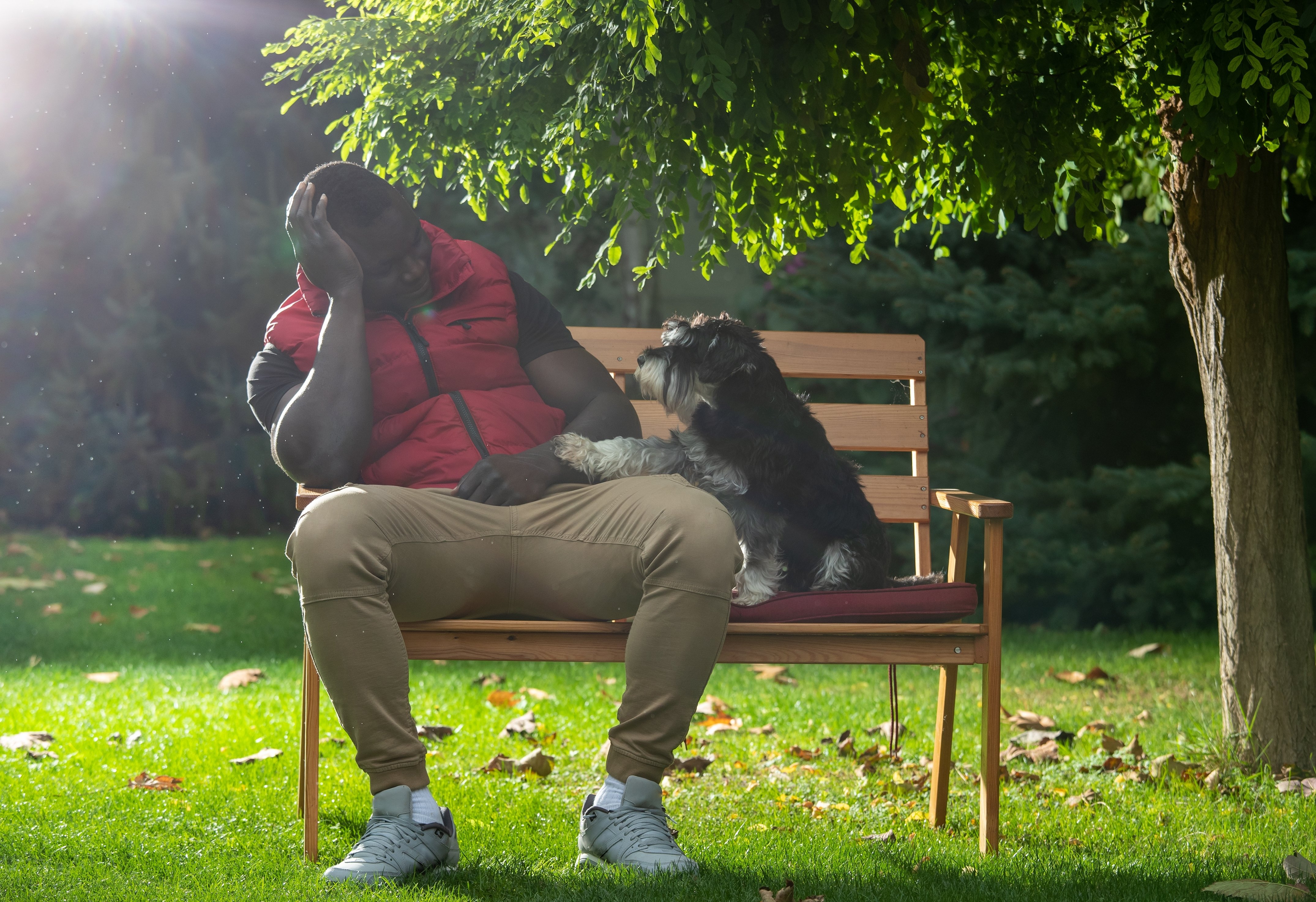 shutterstock_2052274667