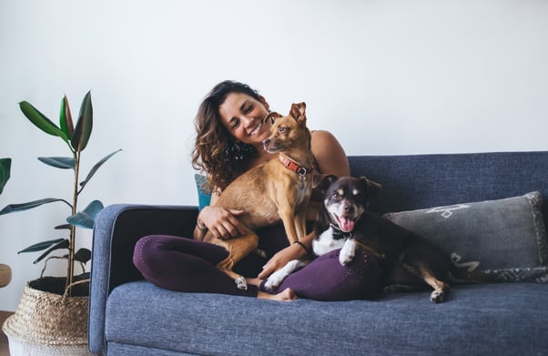 Woman sitting on the sofa with two small dogs.