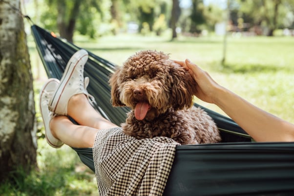 Woman relaxing on hammock with dog on lap.