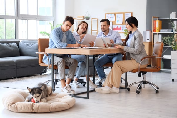 Puppy on dog bed playing with toy in office.