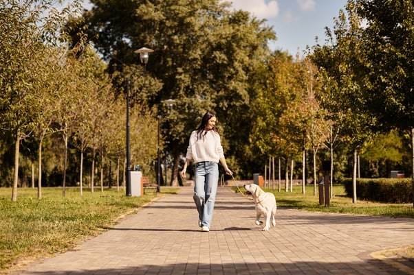 Dog and woman walking together on a path in a park.