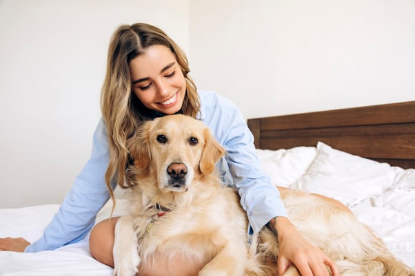 Woman laying on a bed with a Labrador on her lap.