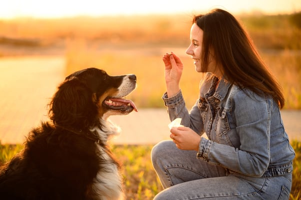 shutterstock_2580485575