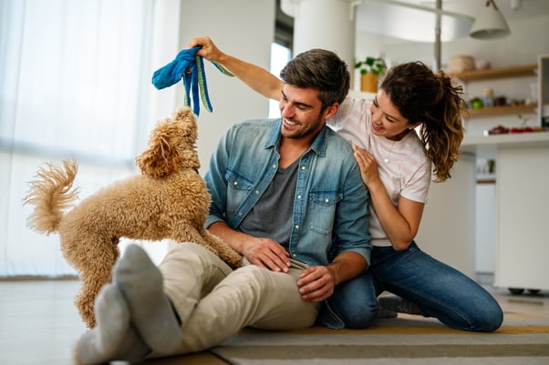 Happy couple playing with a small dog with an octopus toy.