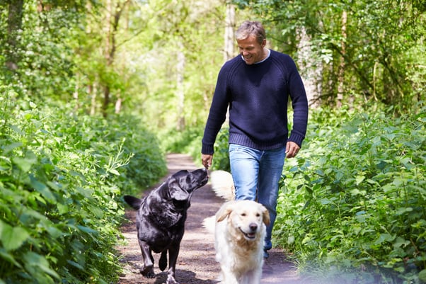 A man walking in the woods with two dogs.