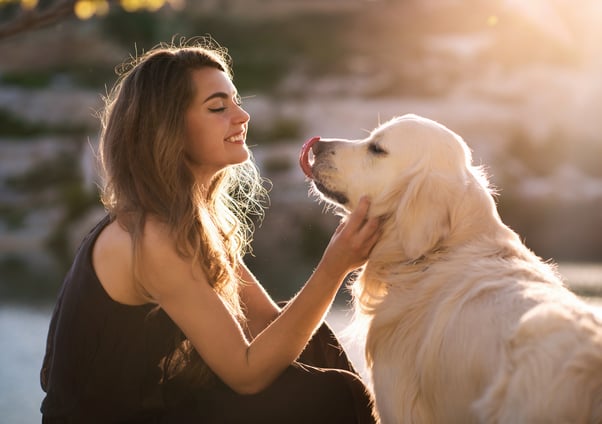 Young woman with a Golden Retriever in the evening sun.