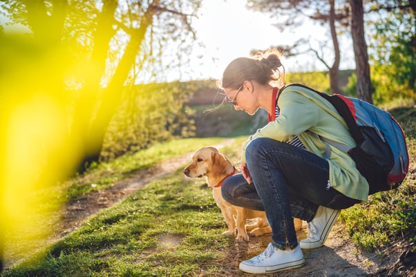 Dog sitter out for a walk with a dog.
