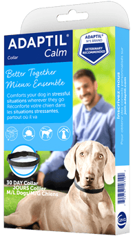 CA-Adaptil-calm-collar-L