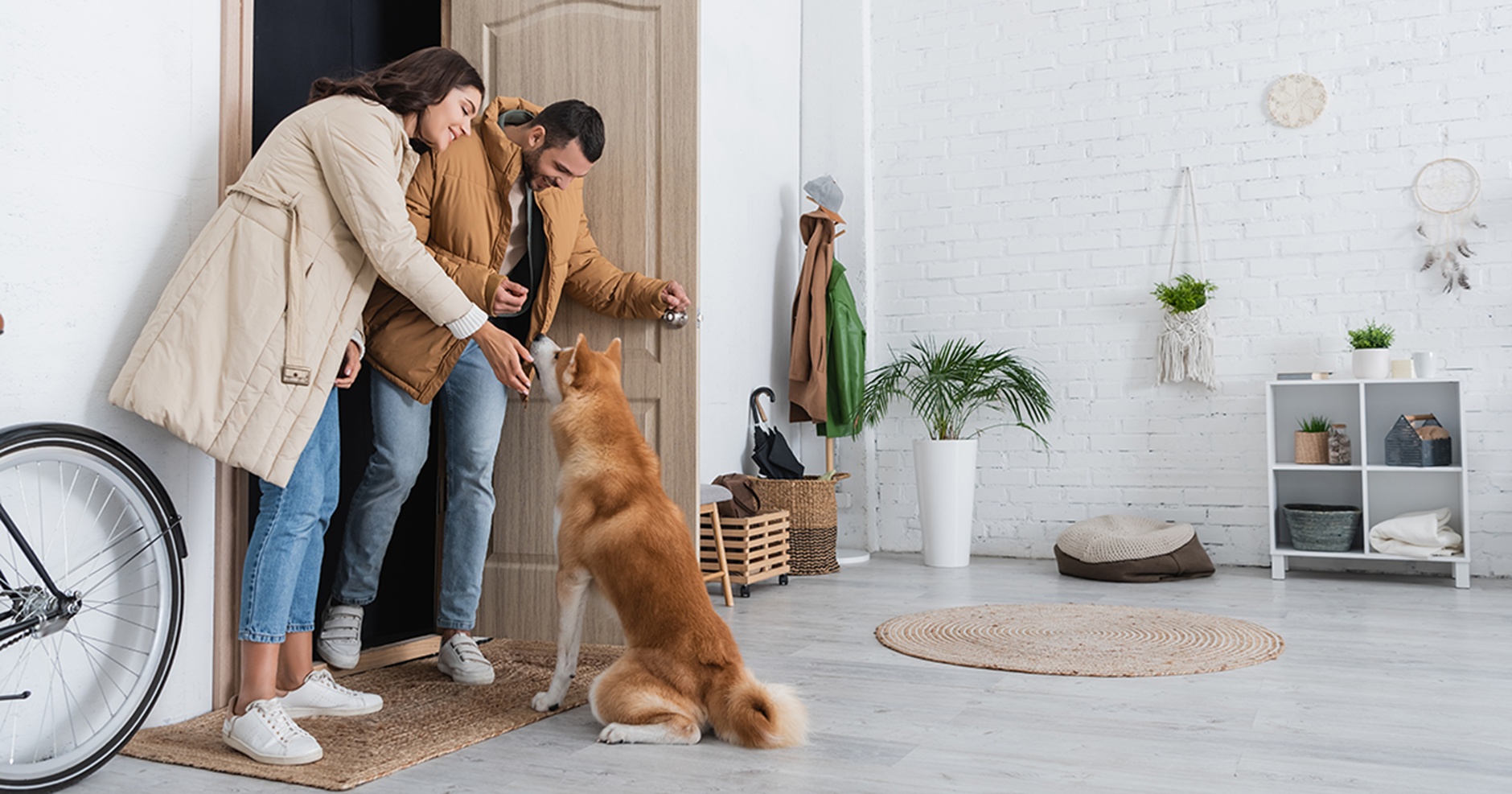 Cachorro feliz cumprimentando um casal quando eles chegam pela porta da frente