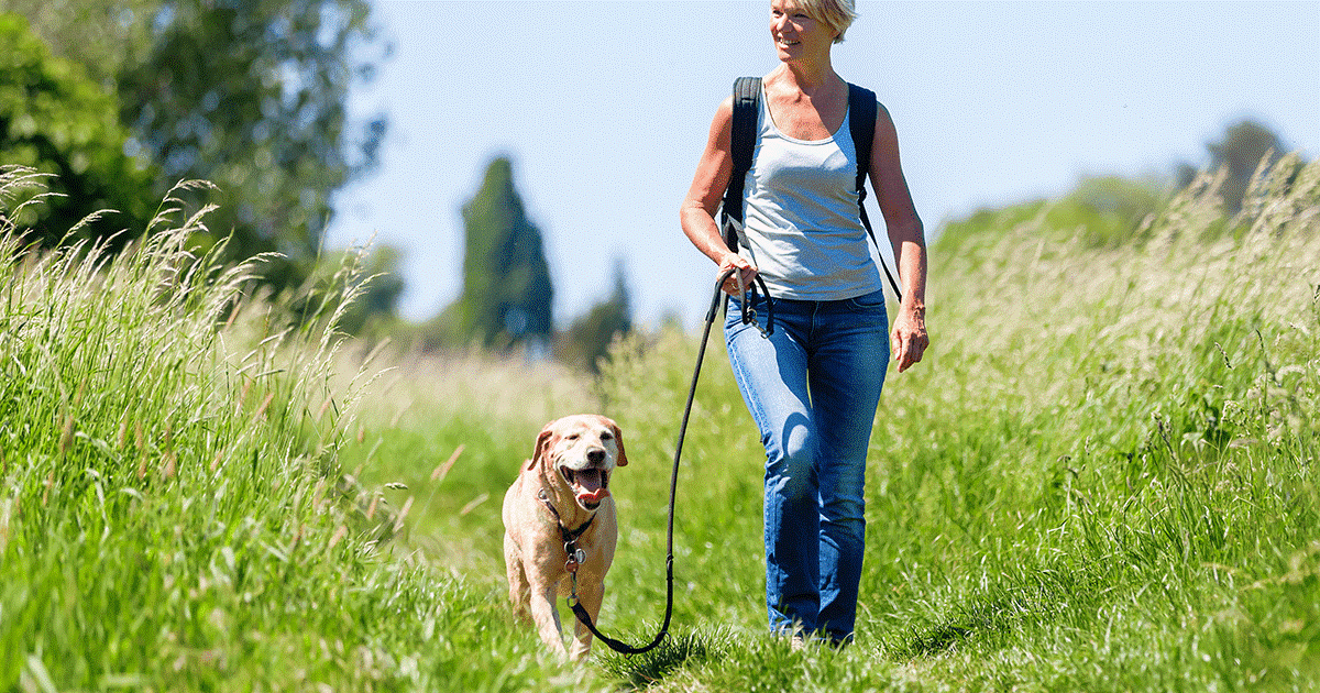 Cane che cammina in un campo con un felice proprietario
